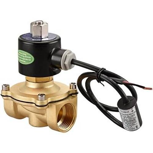 2W-200-20J AC 220V NC Elektromanyetik Valf - Solenoid Valf