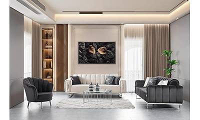 Bornova Koltuk Tak�m�