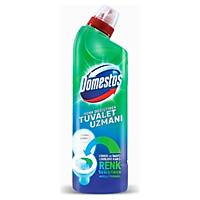 Domestos Tuvalet Uzman 750 ml