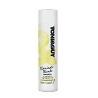 Toni&Guy ampuan Sar Salar Iin 250 Ml