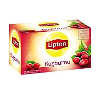 Lipton Kuburnu Bitki ay 20'li