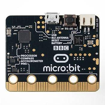 BBC Micro:Bit Go Seti