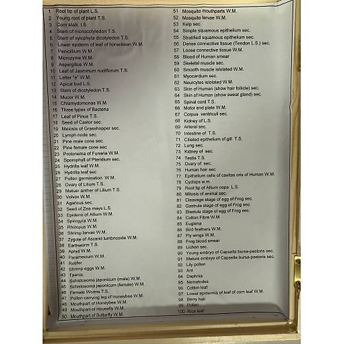 Mikroskop Slayt Seti - Ahap Kutulu Preperat Set - 100 Slayt