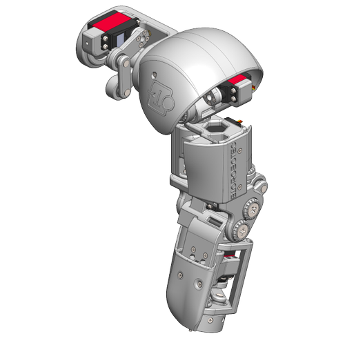 Bionic Robot Sol Kol