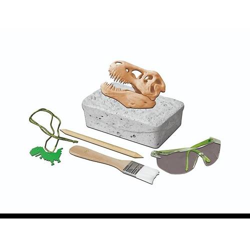 Dinozor Kaz Seti
