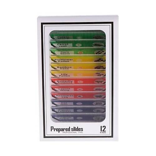 Mikroskop Slayt Preparat Seti 12'li Karma Balang