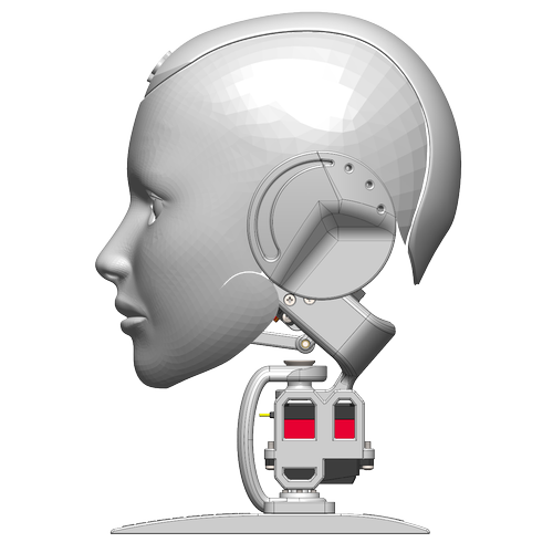 Bionic Robot Kafa