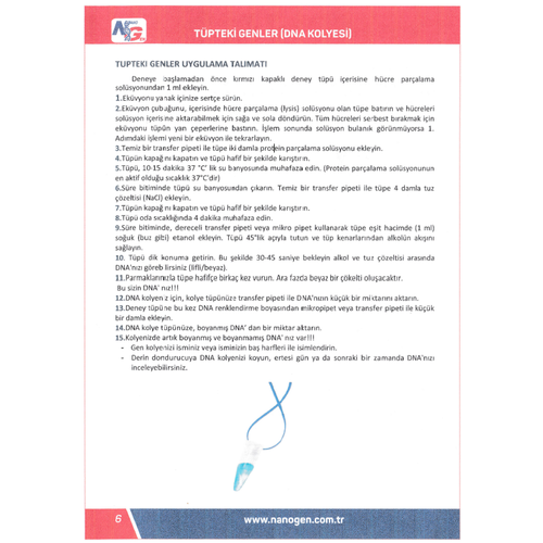 Tpteki Genler (DNA Kolyesi) Tek Kiilik