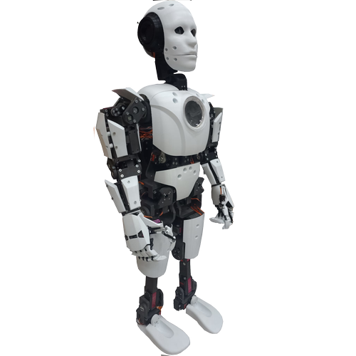 Tam Gvde Bionic Robot Seti