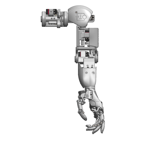 Bionic Robot Kol & El - Sol