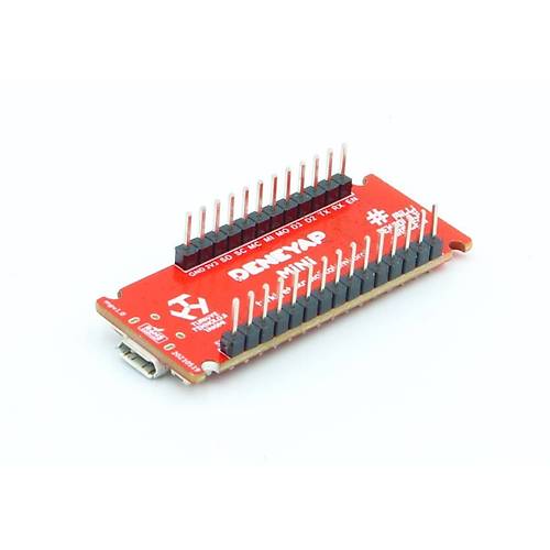 Deneyap Mini