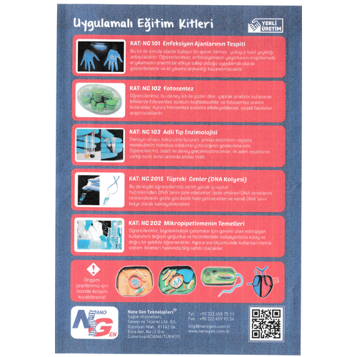 Tpteki Genler (DNA Kolyesi) Tek Kiilik
