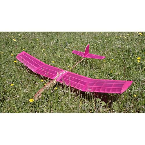 TURNA MODEL PLANR