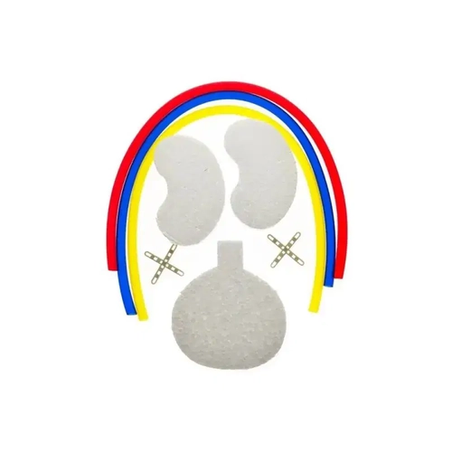 Boaltm Sistemi Modeli