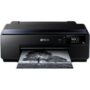 EPSON SC-P600 C11CE21301