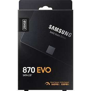 Samsung 870 Evo 250GB 560MB-530MB/s Sata 2.5