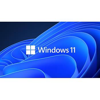 Windows 11 Enterprise Dijital Lisans Anahtarý 32/64 bit