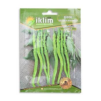 klim Tohum Biber Kl Sivri Tatl 5GR