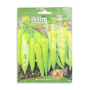 klim Tohum Biber Y. Carliston 5gr