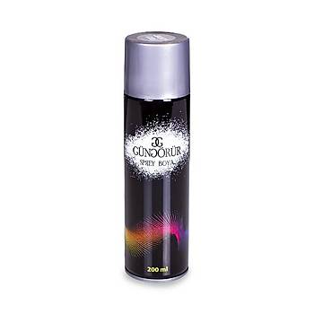 Gn G.200ml Jant Gri Spr.Boya
