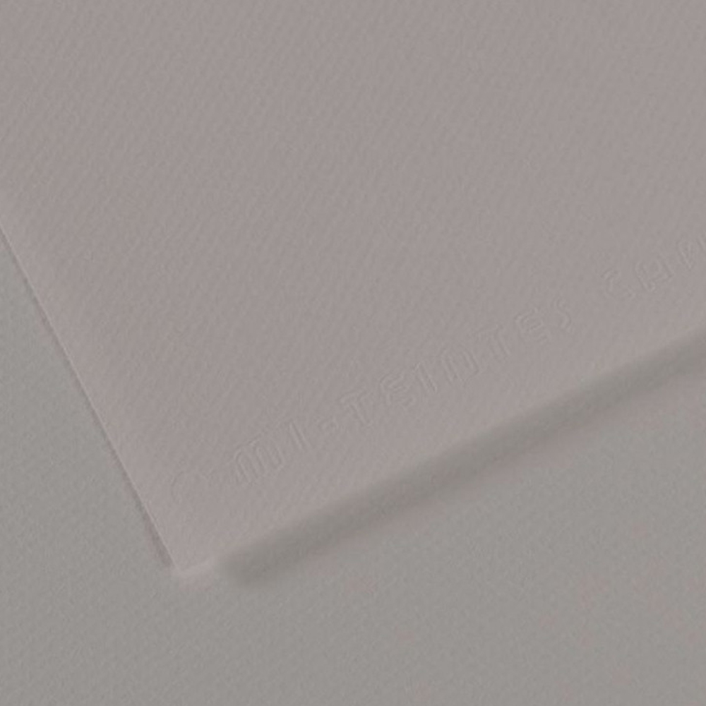 Canson Fon Kartonu (Dokulu) Mı-Teıntes Sh Canmt 50x65 160 GR Grey (10 lu) 186