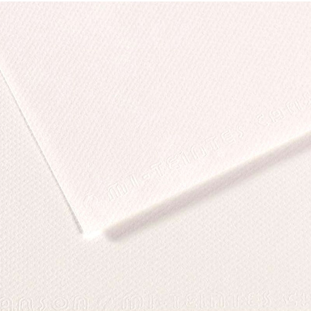 Canson Fon Kartonu (Dokulu) Mı-Teıntes Sh Canmt 50x65 160 GR Whıt (10 lu) 180