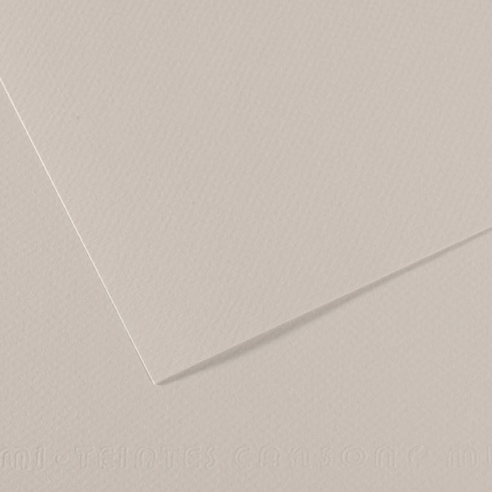 Canson Fon Kartonu (Dokulu) Mı-Teıntes Sh Canmt 50x65 160 Gr Grey 120-10-LI-PKT