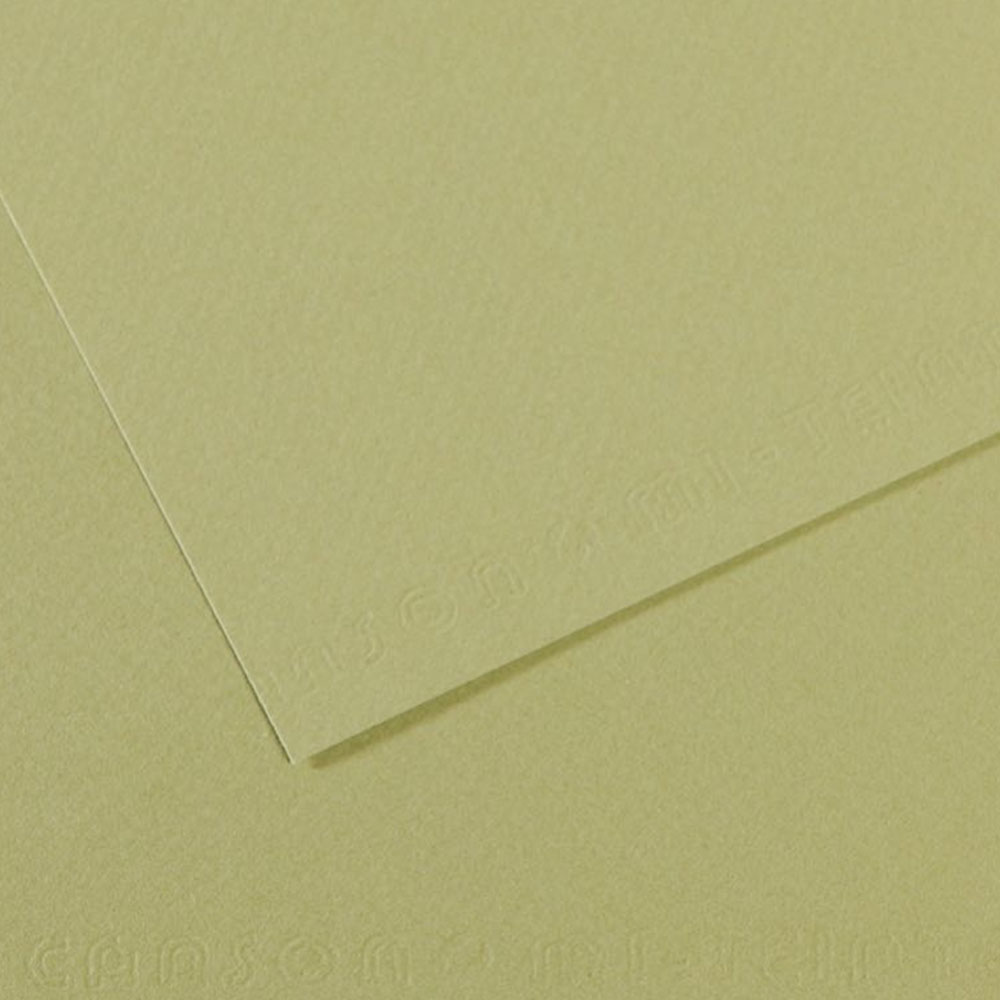 Canson Fon Kartonu (Dokulu) Mı-Teıntes Sh Canmt 50x65 160 Gr Grn 480-10-LU-PKT