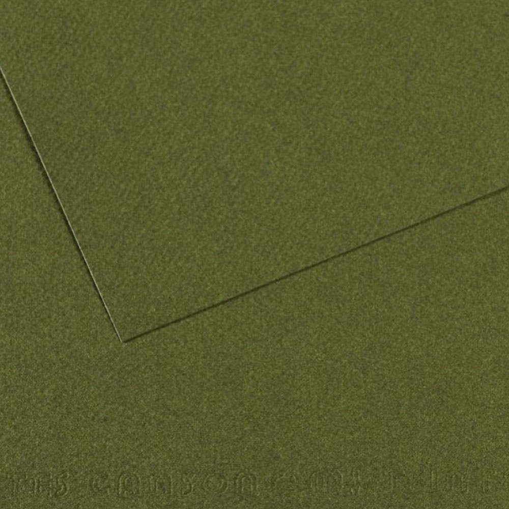 Canson Fon Kartonu (Dokulu) Mı-Teıntes Sh Canmt 50x65 160 Gr Grn 448-10-LI-PKT