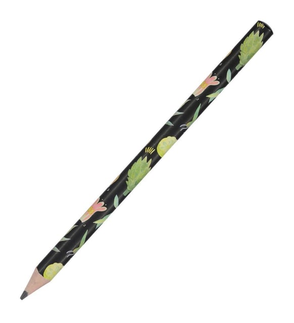 Bruno Visconti Kurşun Kalem Happy Graphix Jumbo 4B 3,5 MM Botanik-30-PKT