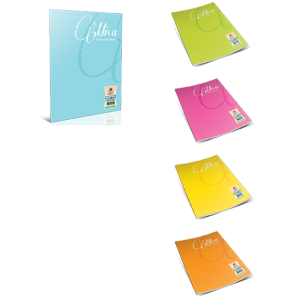 Gıpta Defter (Dikişli ) Mica Plastik Kapak Kareli 40 YP A4 1703--12 Lİ PAKET