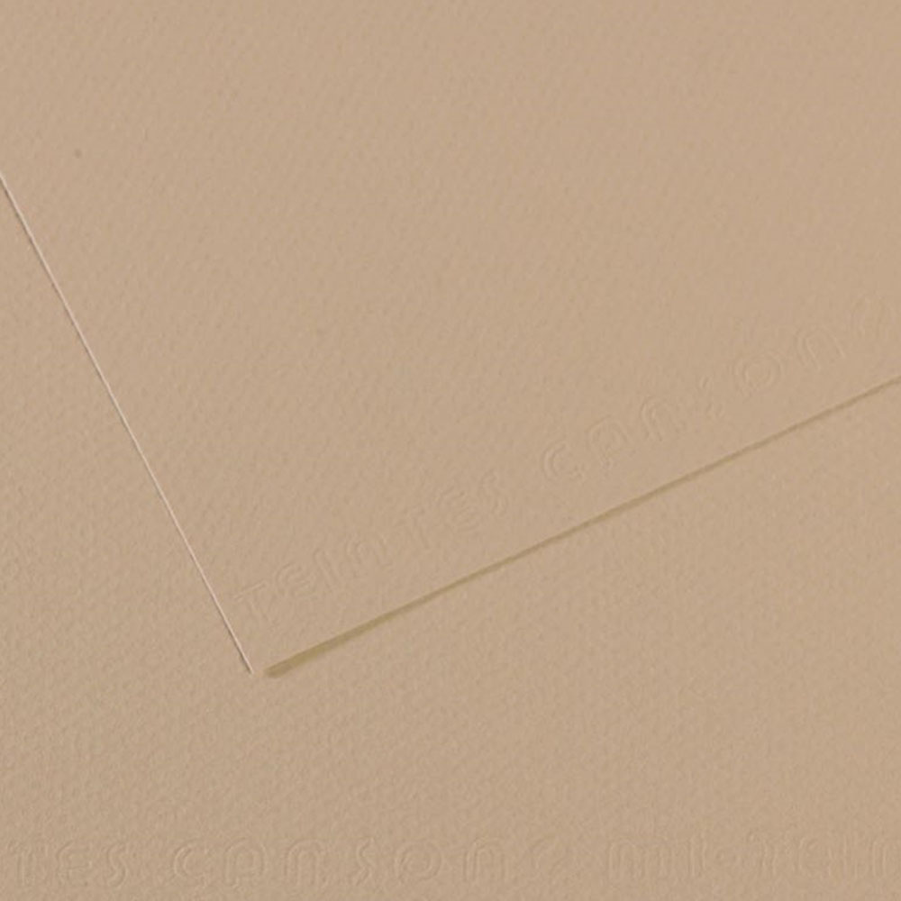 Canson Fon Kartonu (Dokulu) Mı-Teıntes 50x65 160 GR GREY 343-10-LI-PKT
