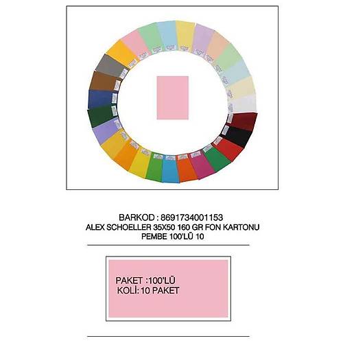 Alex Schoeller Fon Kartonu 160 GR 35x50 10 Pembe