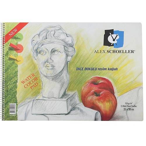 Alex Schoeller Resim Defteri Spiralli �effaf Kapak 120 GR 35X50 25 Syf.Alx-0823