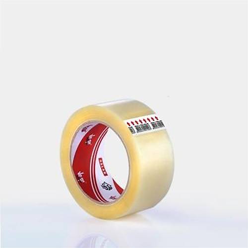 Vege Koli Bant� Aslan-Tekli  45x66