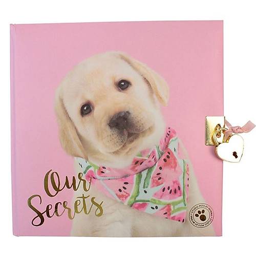 Dolphin Hat�ra Defteri Stud�o Pets Kilitli Pt-7790