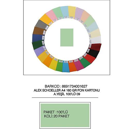Alex Schoeller Fon Kartonu 160 GR A4 09 A Ye�il