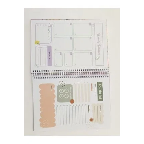 Liz Ayra�l� Planner 12x17 AJT02