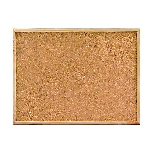 Simge Mantar Pano 30x45 0135