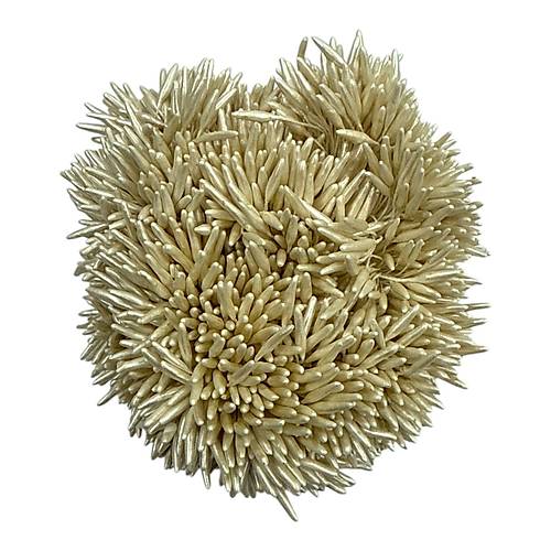 �i�ek Tomurcu�u Krem