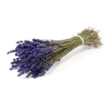 Doðal Lavanta Demeti Natural Lavender Bundle 10 Adet 200-300 Dal
