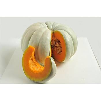 Bal Kabaðý Tohumu 10 Gr Pumpkin Seeds