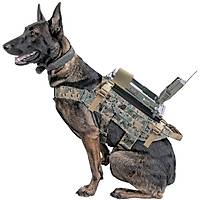 k9 camera system