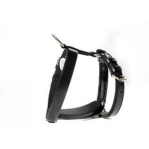 GSD ve Rottweiler i�in BF303 deri ko�um