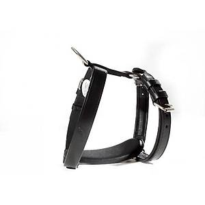 Bf301 deri ko�um pitt-bull