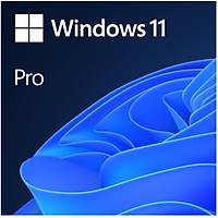 Windows 11 Pro Türkçe Oem (64 Bit) FQC-10556