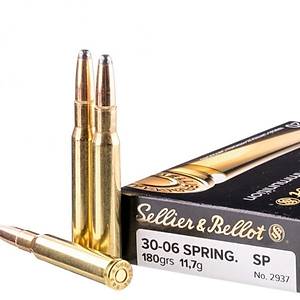 30-06 Springfield Sellier&Bellot - 180 Grain/Soft Point