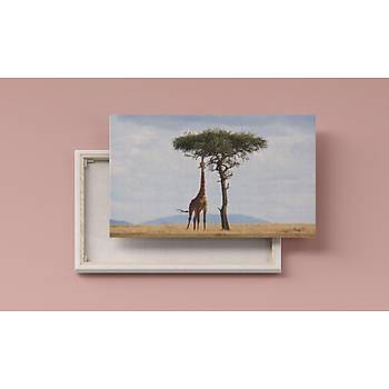 Dekoratif Giraffe Duvar Kanvas Tablo