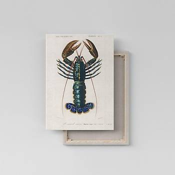 Dekoratif Crimson Crayfish Duvar Kanvas Tablo