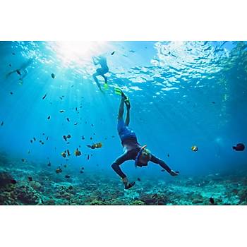 Dekoratif Diving Sport Duvar Kanvas Tablo